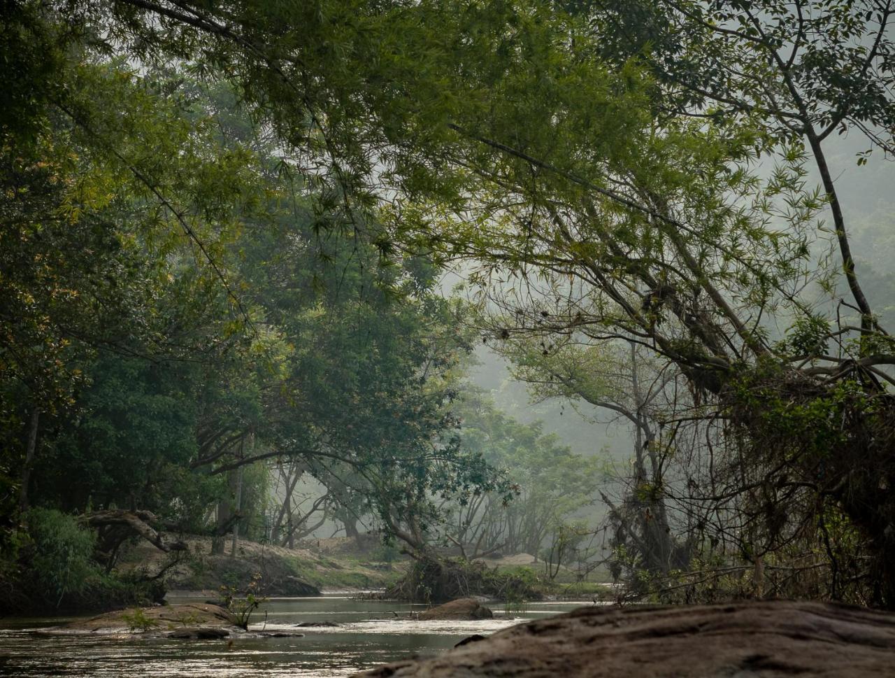 Quiet By The River- Cgh Earth Thodakayam Esterno foto