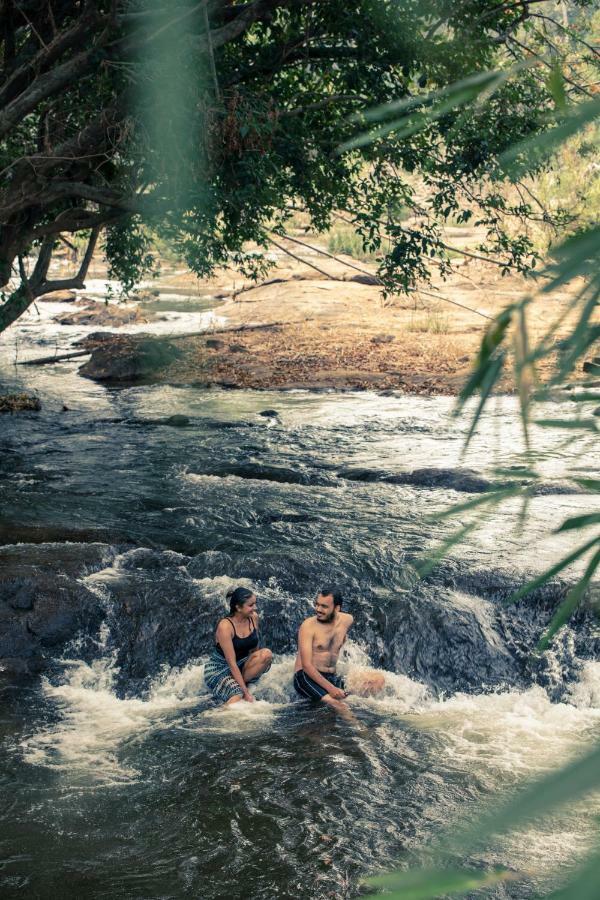 Quiet By The River- Cgh Earth Thodakayam Esterno foto